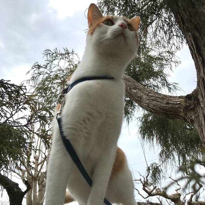 3ebc2075 0888 4f44 8f9a 4f257bb2791e