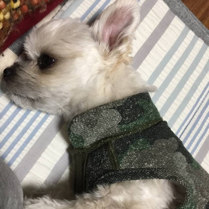 3ebd190a 5a4e 4282 96ae 34e3134c6c16