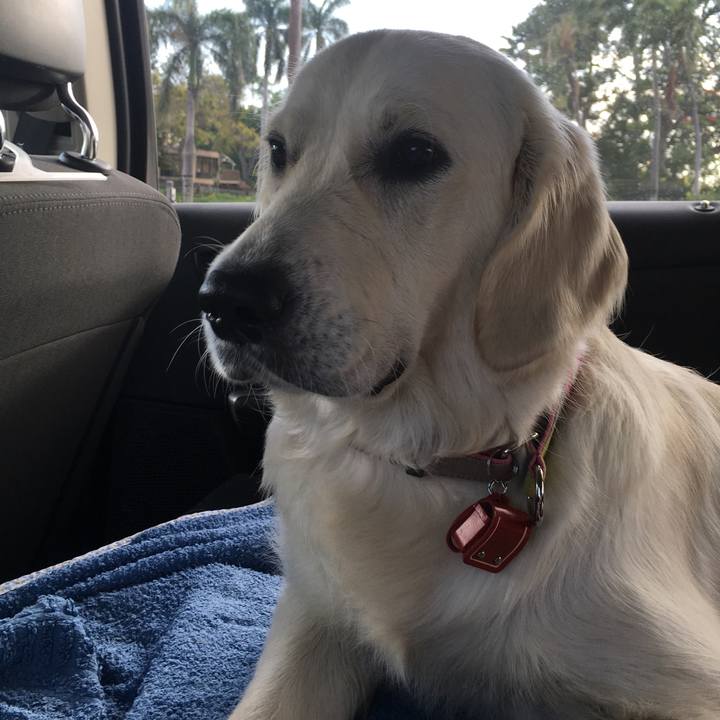 3ebd3a99 89f0 4614 97c9 16c97e07ea9a