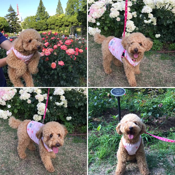 3ebd87d1 7395 4611 bddb 17e80b4effa3