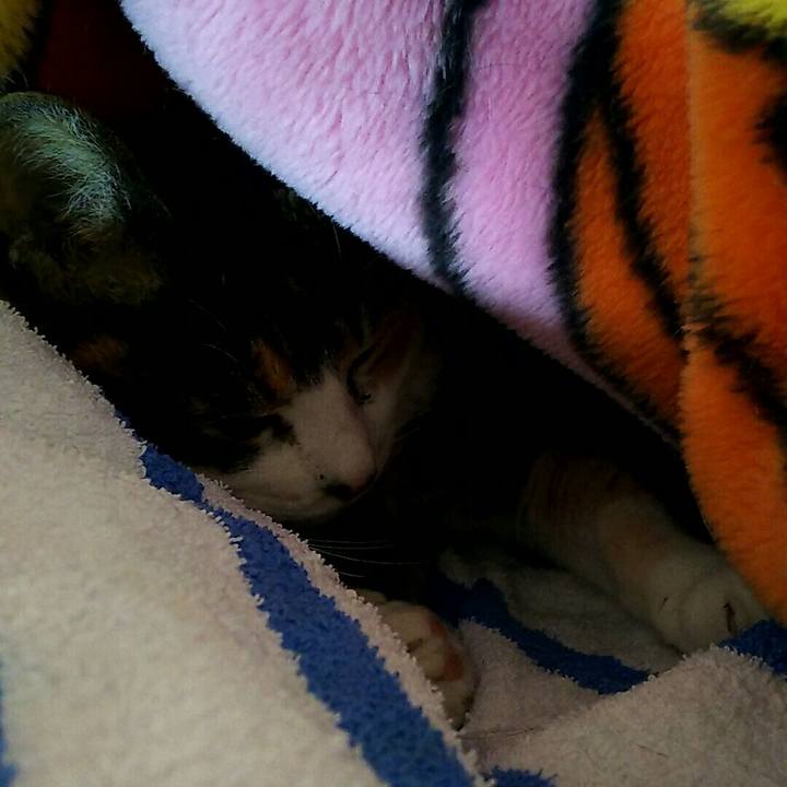 3ebd9521 7269 4f6e 88d2 d46bf5abb294