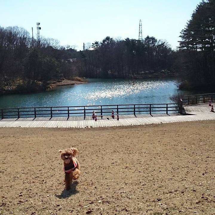 3ebdce50 0958 4e92 8d3d 17bb8b532360