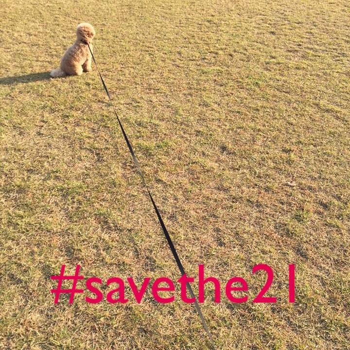 3ebe15e8 e10a 4d6e 8733 7696166d5b78