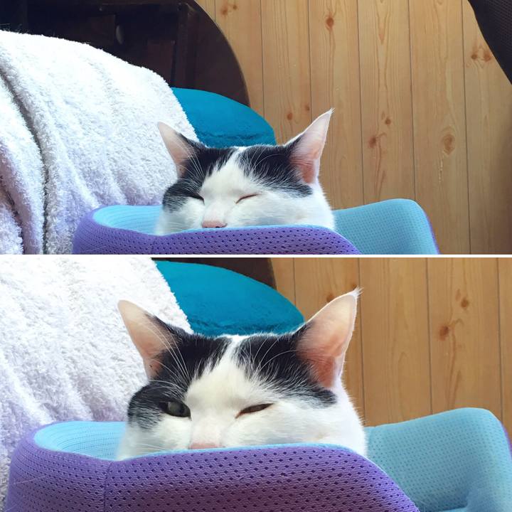 3ebe231d 39a1 4136 810b 3cc829ffb248