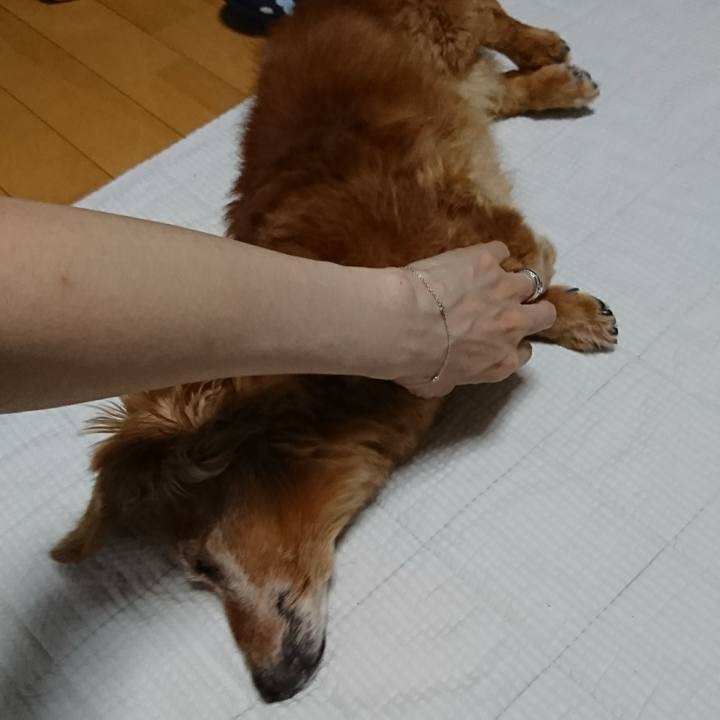 3ebf3c86 4136 44a5 9d3f b31f10173498