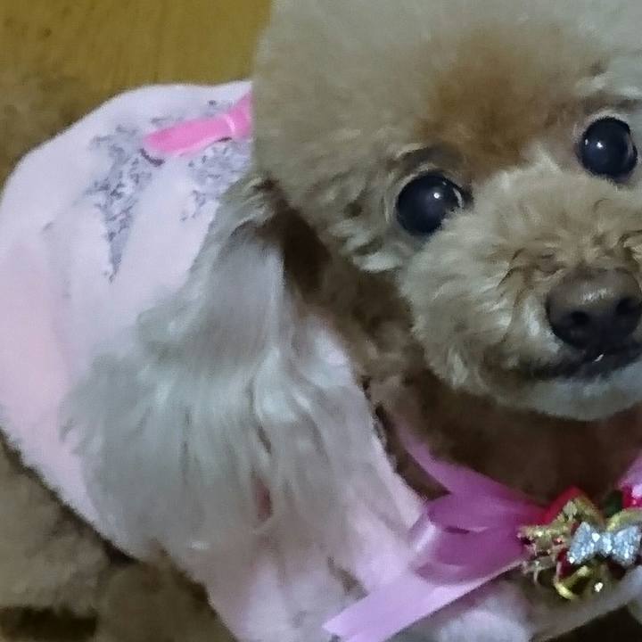 3ebf583d 73cc 4834 a63b c02019c074e0