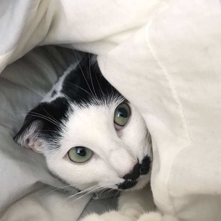 3ebf6c37 5d3e 4879 a0b8 462bf324468d