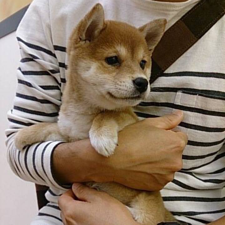 3ebf9ed7 3c72 4207 b59d ff397d90c67e