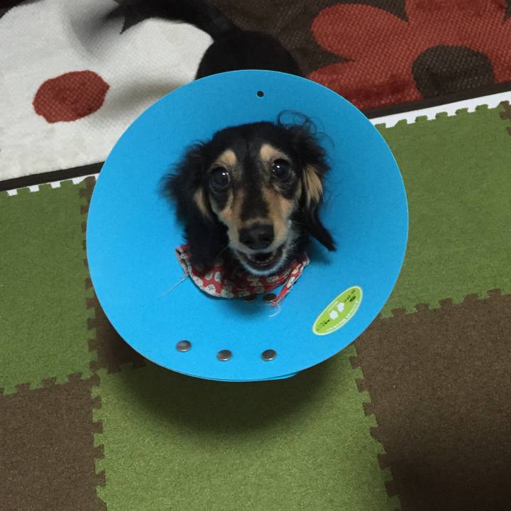 3ebfd019 ba70 4c2f 95e8 856f84588785