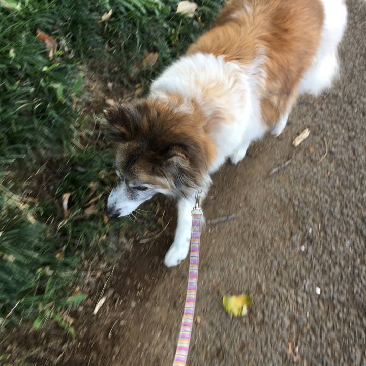 3ec045e9 1c13 43c0 a205 9b939a060cb3