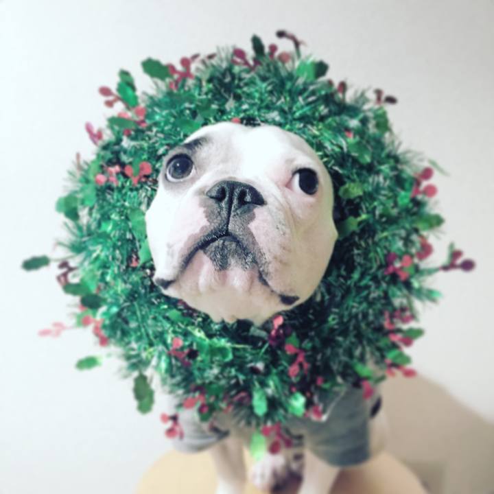 3ec05b8a e552 4bba 9383 c555005edfd8