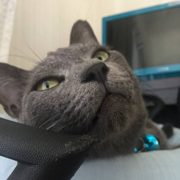 3ec05f50 36fa 43da a8c7 3dc4ef818fef