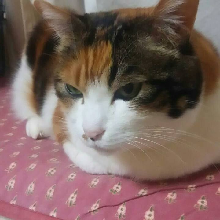 3ec06c61 b809 4698 a045 797aeabf9784