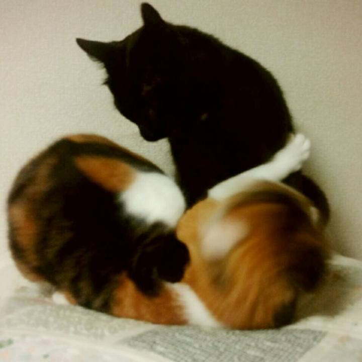 3ec1b429 618d 48b2 ae80 a509d9d31146