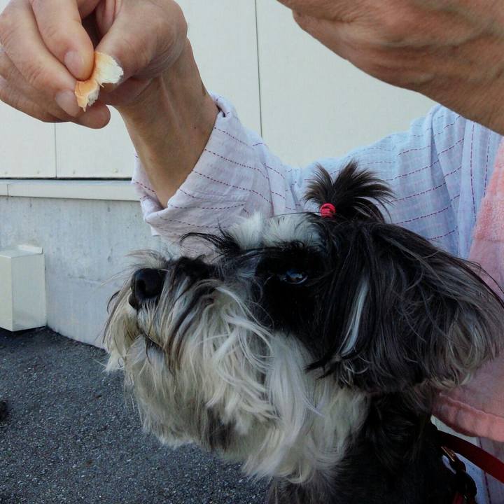 3ec1ec80 3768 4814 99ff 5d98d74f152a