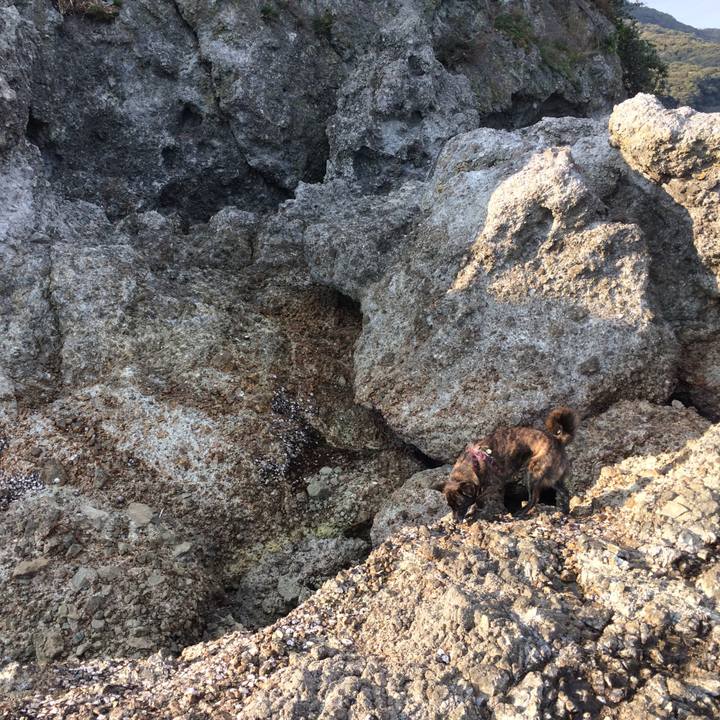 3ec29a50 1a6d 48fa 991e b85e9c2792ed