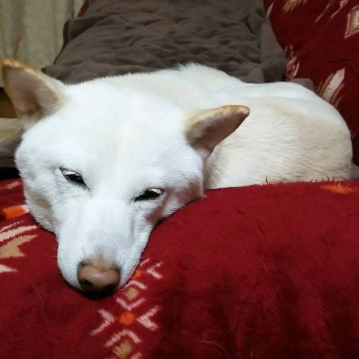 3ec2aa39 955f 42f2 bd66 5e18af8a140f