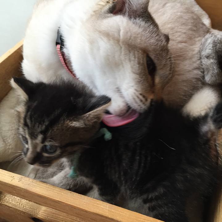 3ec2dda8 bce5 44c5 9aab f3b999c8ac70