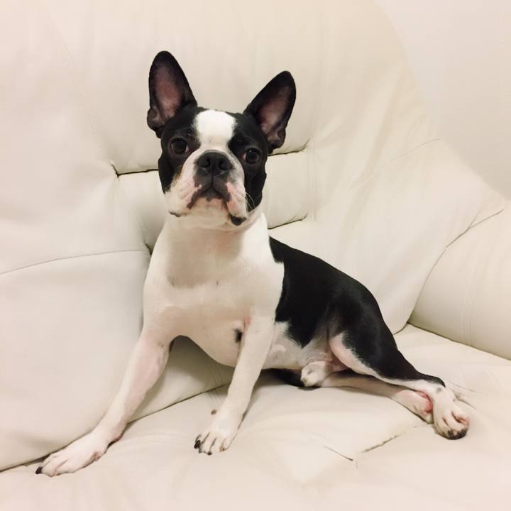 3ec35447 09c5 4b02 b521 8a733dccfc44