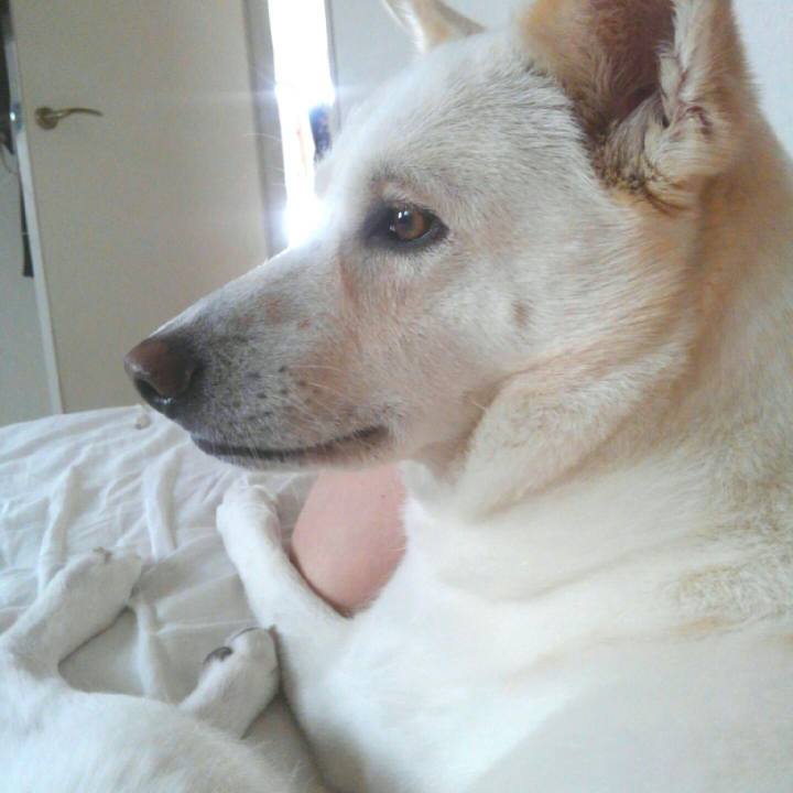 3ec3b5bf 8a00 4484 a041 a2aa29adc171