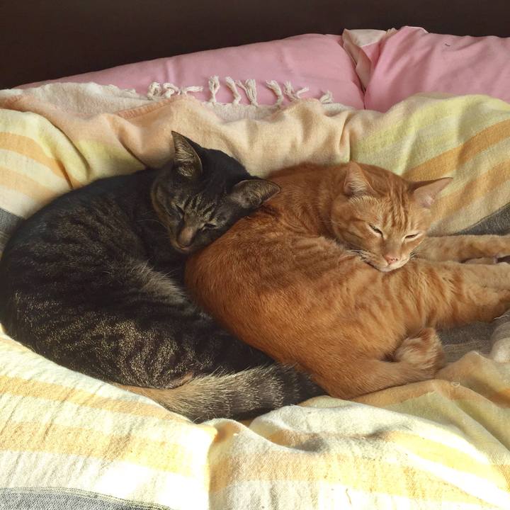 3ec40ade fd19 483f b3f2 e4e8bd53ebbb