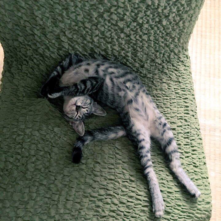 3ec417b2 f6fa 4ba4 b7f8 e4822ad7c458