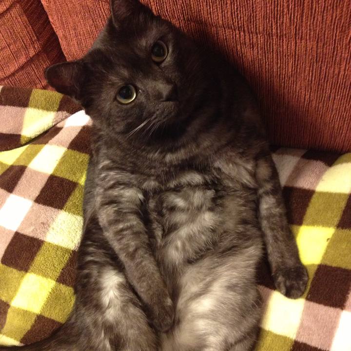 3ec48e40 25a4 49e1 a933 362fce06bbdf