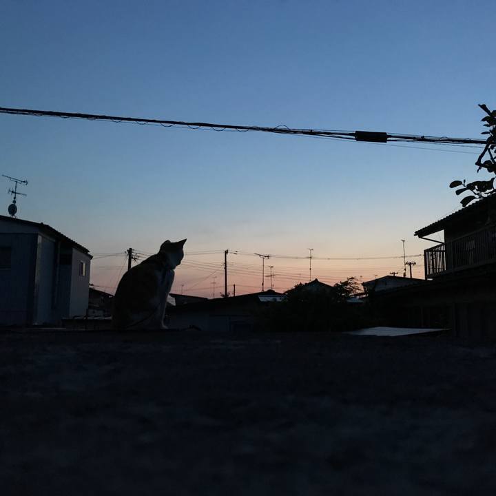 3ec510be 89fb 4d59 859e 373011da304d