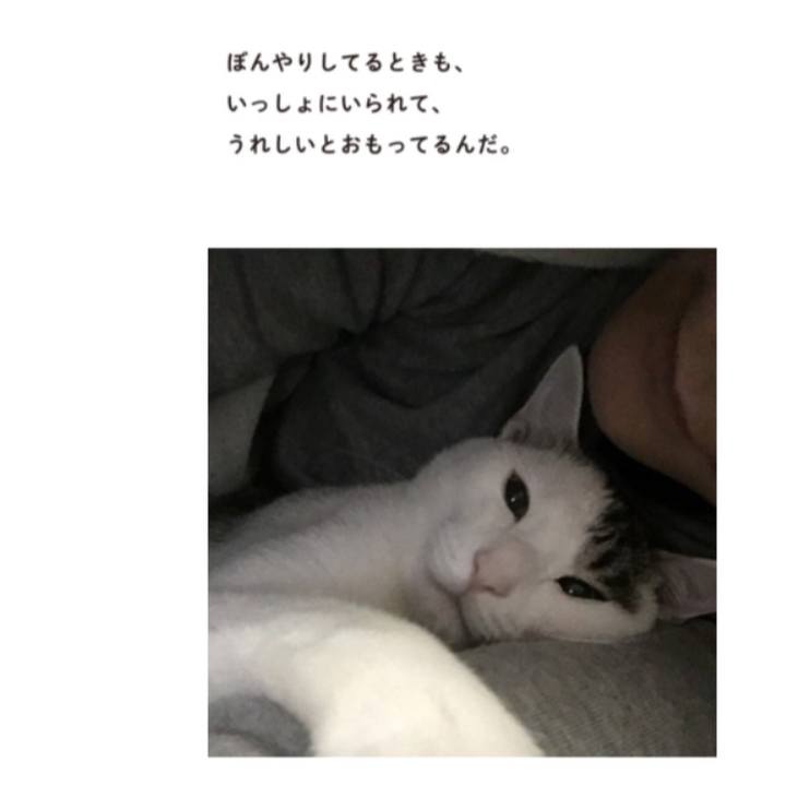 3ec575cf f136 449a ad10 86e643369bee