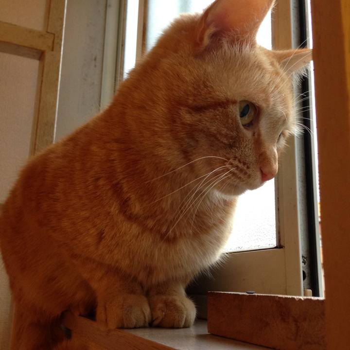 3ec5cd41 baa1 4f37 aeae 47ad303d5035