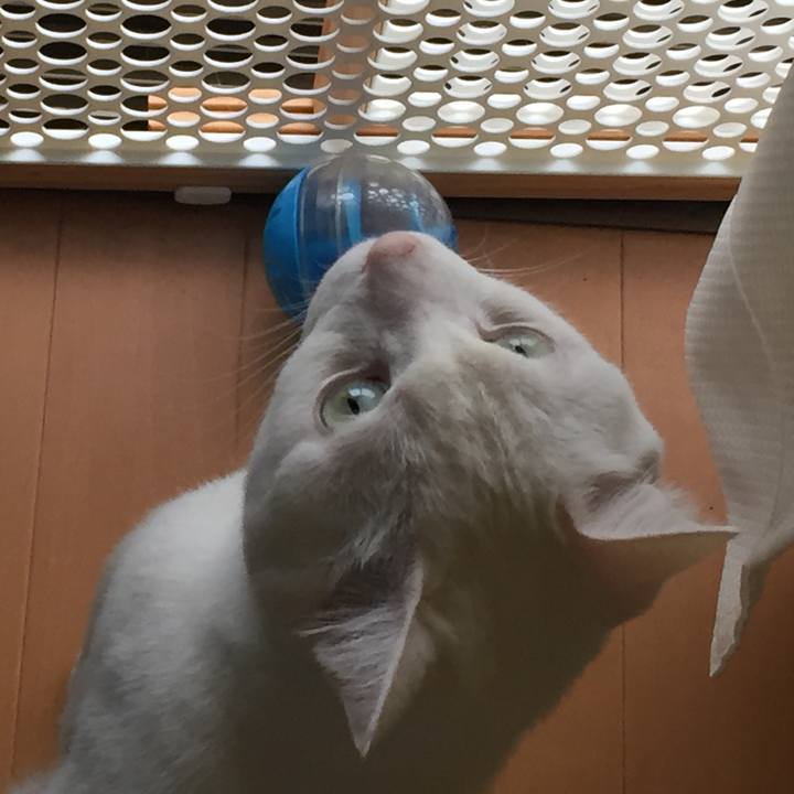 3ec6e015 f9ae 4c79 9339 f9d0ded1ce89