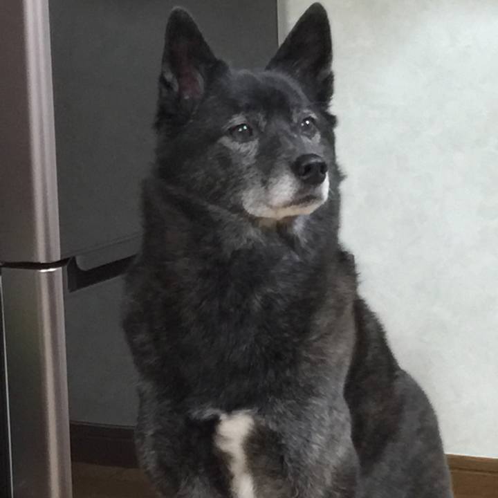 3ec6e7bd 2931 42c2 bd7f adb549008f39