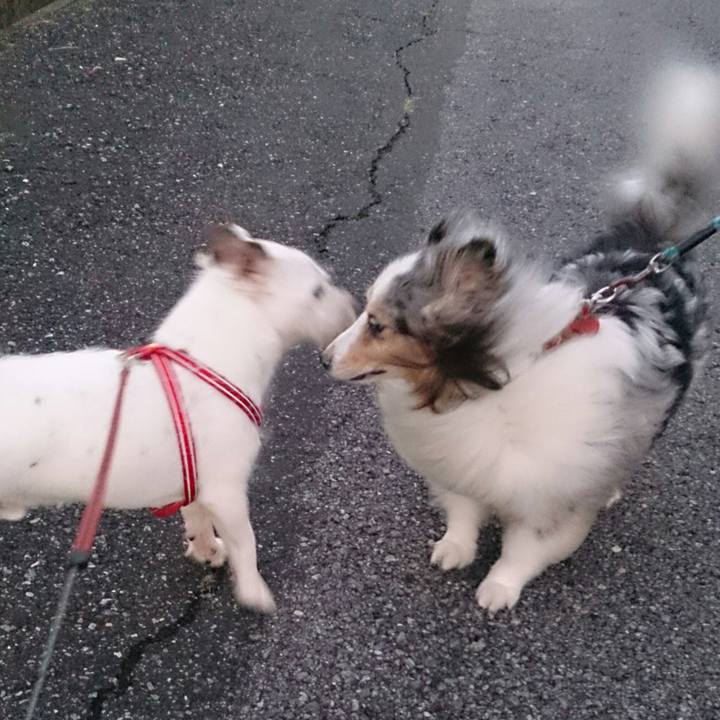 3ec72cd0 a1c2 48de a4de ab2b10fef164