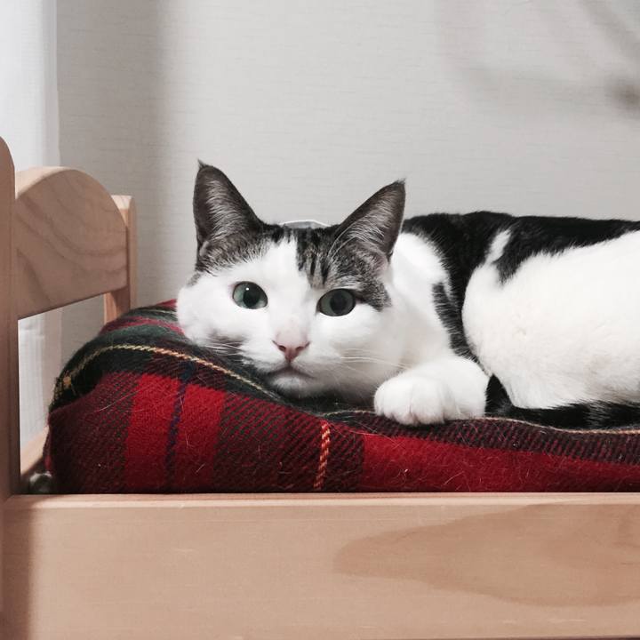 3ec72f51 2f43 4720 93da ffdc4ce26c1b