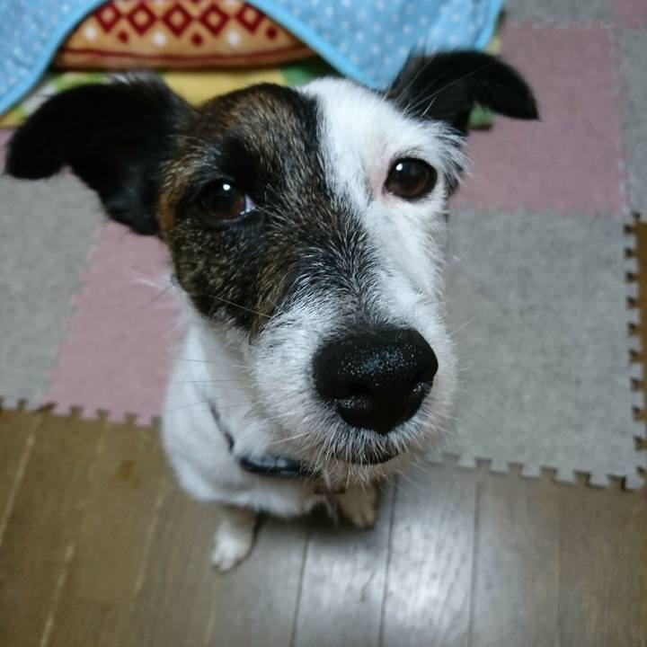 3ec7bc9d b8d6 48df 8530 dfdf032aa435