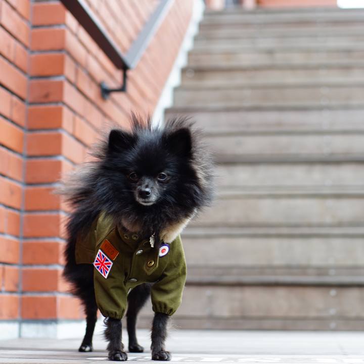 3ec870c7 07a7 4500 a6d9 eeb0ebaca253