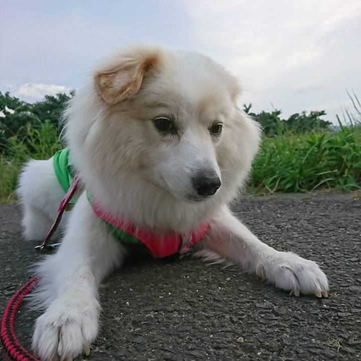 3ec8f75b d4d3 44f2 860c 261b38980856