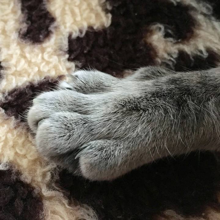 3ec91d8f 5a02 42dc 8f35 fdc1e0edbe4c