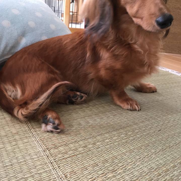 3ec95526 269a 443d 8ec6 baff039f8f4d