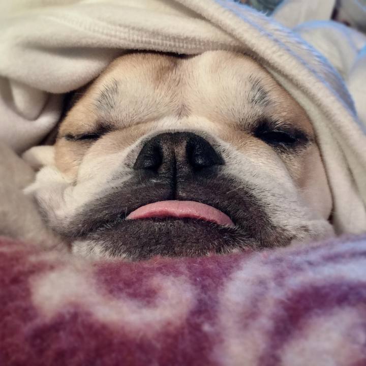 3ec9642d cf96 4ae2 b3e9 b0ea5bafdc31