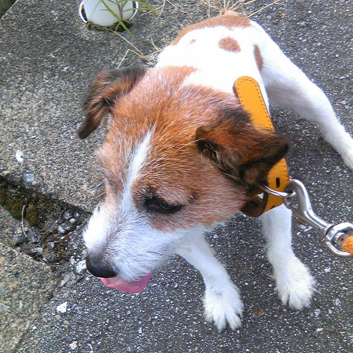 3ec9c94e 264f 4147 95f0 2716a2e2d5c3