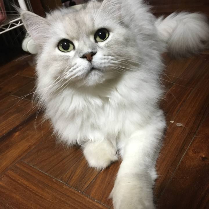 3eca3a7c 59de 4cf2 9665 4c34f2cb859e