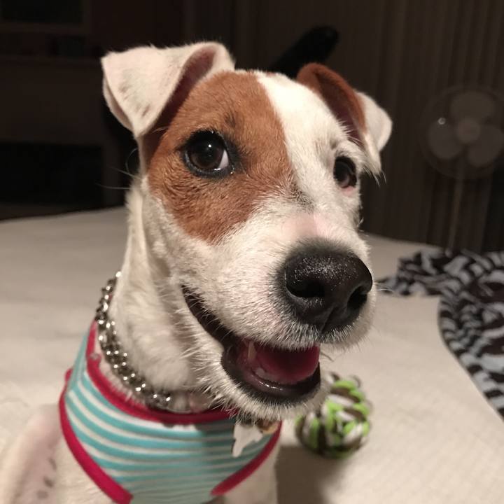 3ecb1323 7606 477c 8d72 132f7e873192