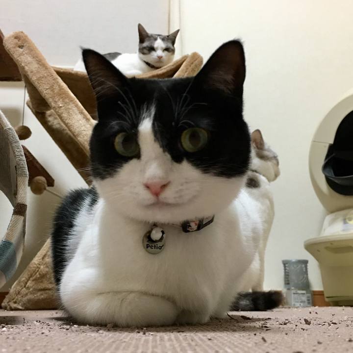 3ecb170c c674 47fa b6c5 57d1c90157e0