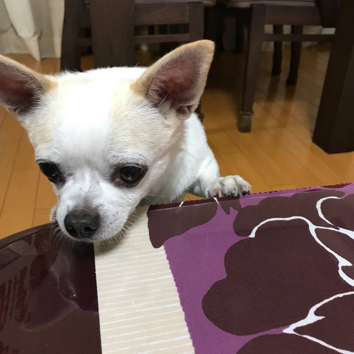 3ecb357f 07ba 4a2c 8310 01764cc8b3ec