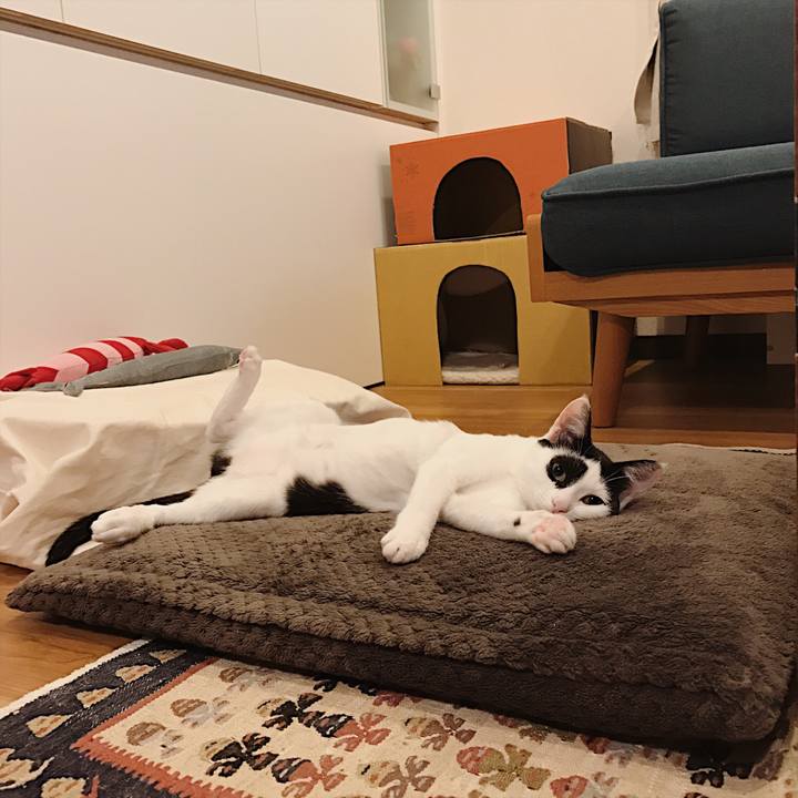 3ecb6d81 c1ee 41c4 88bf 3f43e13e17b7