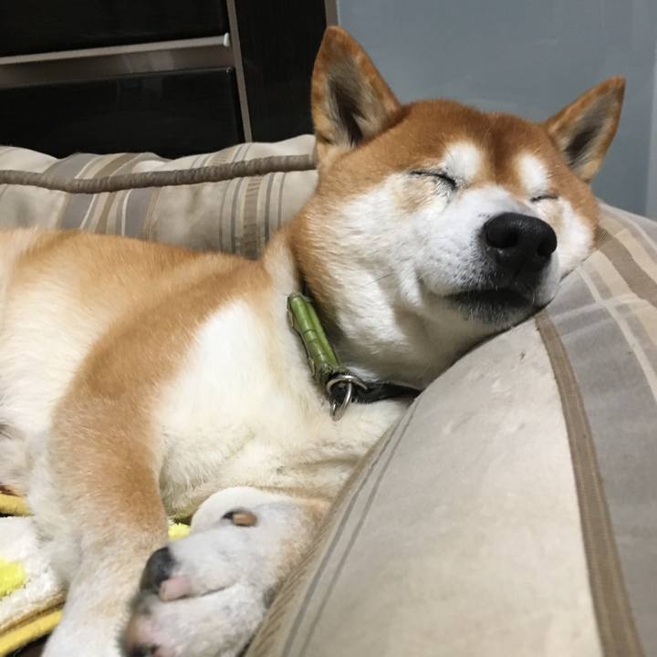 3ecbe12a fddc 4b2f a918 677a020d8dc5