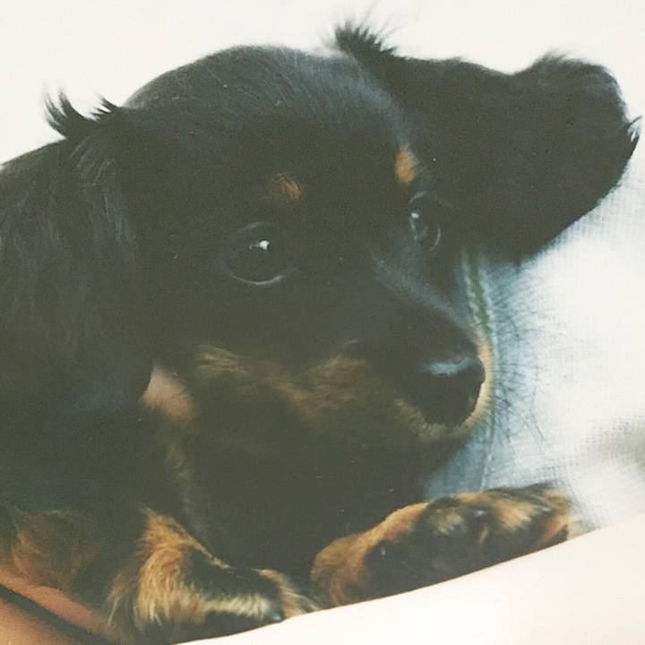 3ecbe87e 4fce 4de8 8c49 a95b322576ab