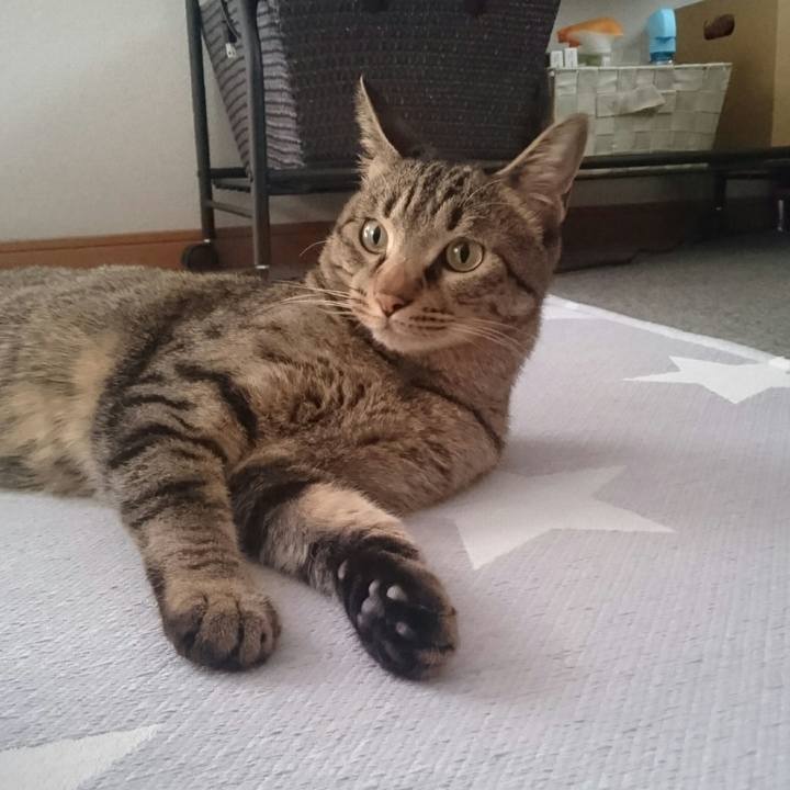 3ecbf771 e26d 4d93 ba95 07b290d3c414