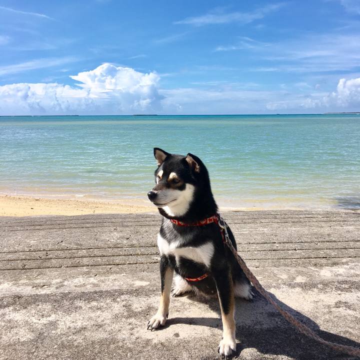 3ecc68ee 15e9 45b5 ad2b 25b9fea4aeb3